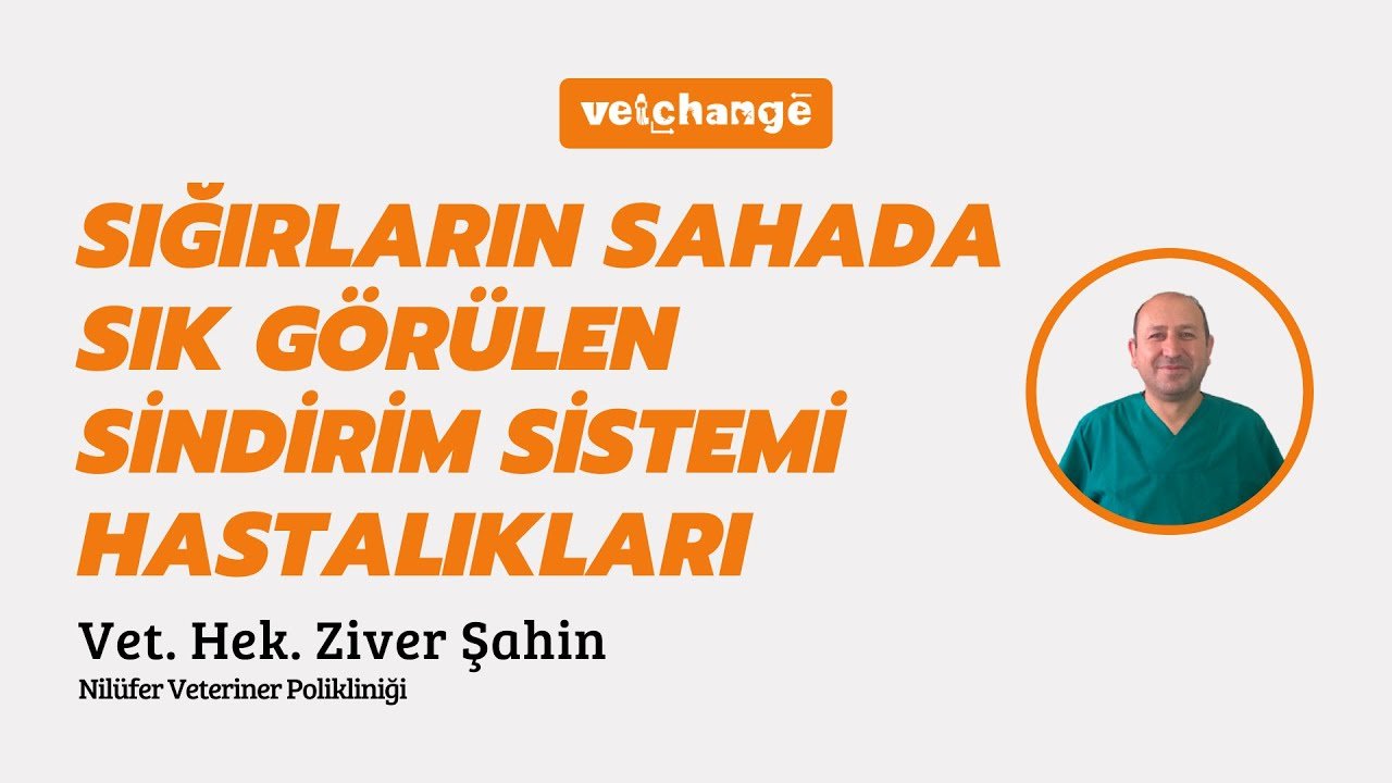 "Sığırların Sahada Sık Görülen Sindirim Sistemi Hastalıkları" Vet. Hek. Ziver ŞAHİN